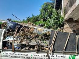 Same-Day Junk Removal Services in Edwards Af, CA